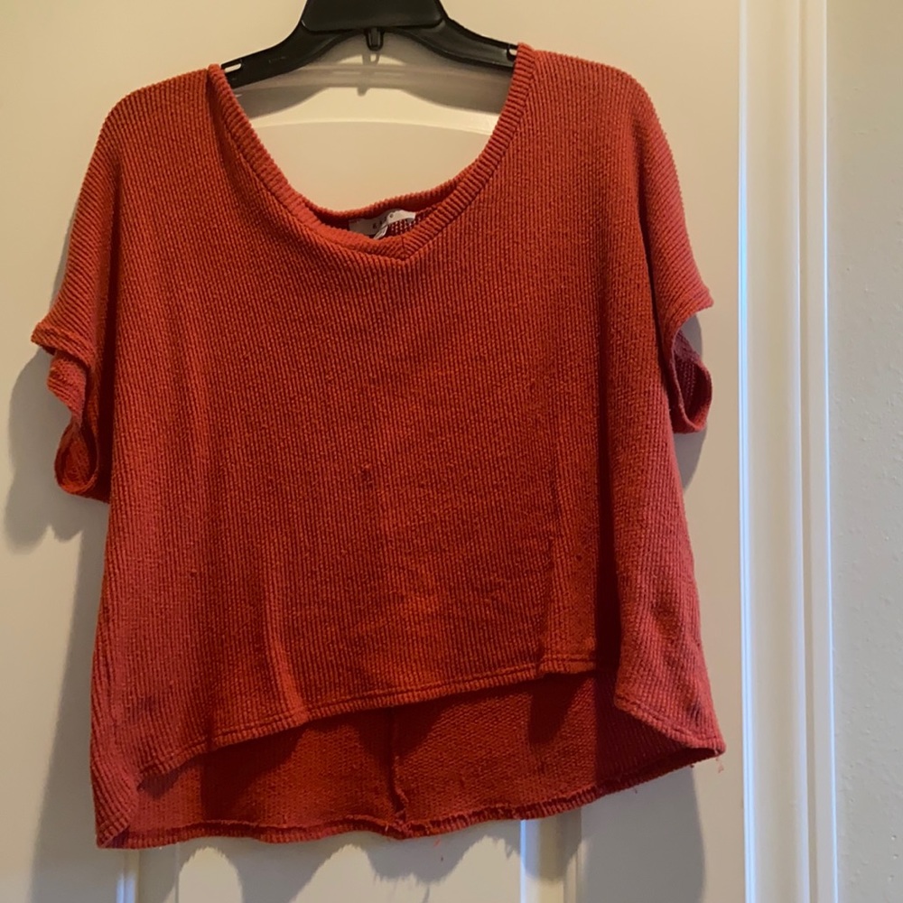 Large gaze cropped shirt